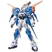 1/100 �Q�C���X�g���C�N�K���_�� (�@����m�K���_��SEED DESTINY)