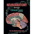 Neuroanatomy through Clinical Cases