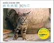 2009�T�߂���⍇�����~�˂� (Yama-Kei Calendar)
