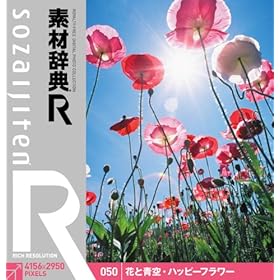 【クリックで詳細表示】素材辞典[R(アール)] 050 花と青空・ハッピーフラワー