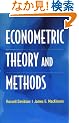 Econometric Theory and Methods