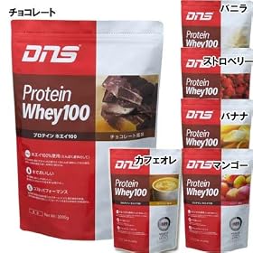 DNS(�f�B�[�G�k�G�X) �v���e�C���z�G�C100 3kg