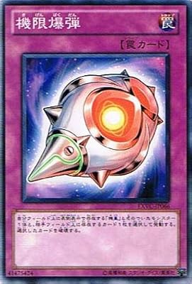  �V�Y���J�[�h �y�@�����e�z EXVC-JP066-N ��G�N�X�g���[���E�r�N�g���[��