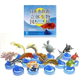 �J�v�Z�� ���{�����ٗ��̐����}�^ �J�v�Z���A�N�A���E��3 �S13��Z�b�g(���Ȃ��퐅���كo�[�W���� )