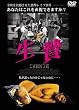 ���� ���\ 3PEOH8[DVD]