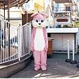 なくもんか(初回生産限定盤)(DVD付) ~ いきものがかり 発売日: 2009/11/11 1,143 なくもんか(初回生産限定盤)(DVD付) ~ いきものがかり 発売日: 2009/11/11 1,143