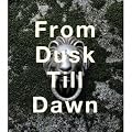 From Dusk Till Dawn
