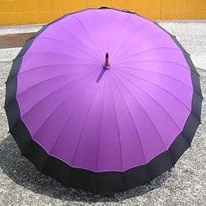 【クリックで詳細表示】24本骨傘【HANAismアンブレラ】 和傘チックで蛇の目風