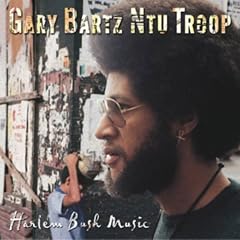 Harlem Bush Music