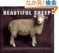 Beautiful Sheep