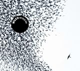 [Music] Sky Blue Sky