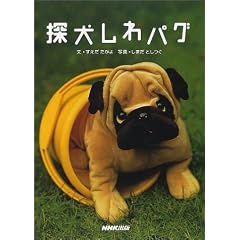 �T������p�O