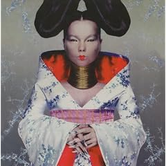 Homogenic [12 inch Analog]