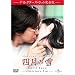 �\���E�C�F�W�����W