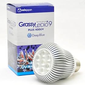 �{���N�X�W���p�� �O���b�V�[���f�B�I GrassyLeDio9 PLUS400UV �f�B�[�v�u���[