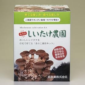 �y���������z����̂��������_�� �i���ϔ��t�j2�Z�b�g�u���[�����A���������v