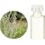 �����̖� C �N���� �Z�[�W �G�b�Z���V�����I�C�� 10ml