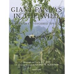 Giant Pandas in the Wild: Saving an Endangered Species