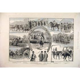 1894 �̒ǐՂ̋��n���̃p�h�b�N�̃R�[�X�̏�Q������