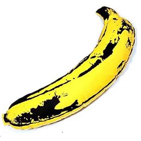 ANDY WARHOL 36�C���` �v���b�V�� �o�i�i