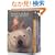 his dark material yearling 3c box set