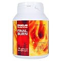 FINAL BURN 225��
