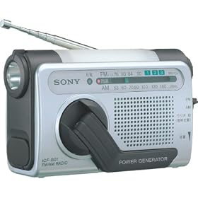 SONY ��񂵏[�d���W�I �V���o�[