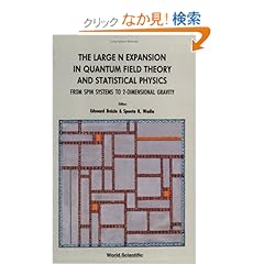 【クリックでお店のこの商品のページへ】The Large N Expansion in Quantum Field Theory and Statistical Physics: From Spin Systems to 2-Dimensional Gravity: E. Brezin, S. R. Wadia: 洋書