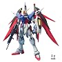 1/100 MG �f�X�e�B�j�[�K���_��