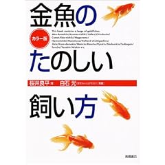 �J���[�� �����̂��̂���������