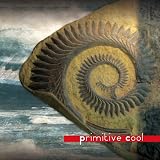 Primitive Cool