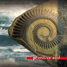 Primitive Cool