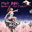 Pink Box: Songs of Pink Floyd