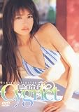 �����S���q Cygnet [DVD]