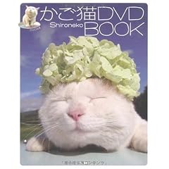 �����LDVD BOOK (DVD�t)