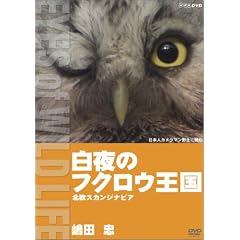 ����̃t�N���E���� �k���X�J���W�i�r�A/���c�� [DVD]