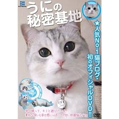 ���ɂ̔閧��n [DVD]