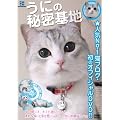 ���ɂ̔閧��n [DVD]