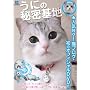 ���ɂ̔閧��n [DVD]
