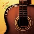 JAPANESE REGGAE IN ACOUSTIC