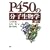 P450�̕��q�����w ��2��