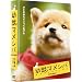 �c�b�}���V�o DVD-BOX