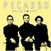 �s�J�\ �S�[���f�����x�X�g �q�J�����m~PICASSO SINGLE COLLECTION PLUS~