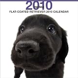 B002LOKLUC