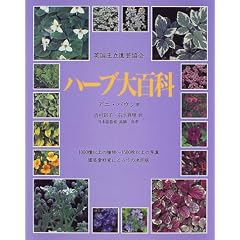 �p���������|���� �n�[�u��S��