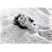 �}�C�E�t�F�o���b�g�E�V�l�}�A�C�̌����܂܂ɁE�E�E�B