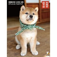 �a�����{�� ����� ���� �I�t�B�V���� �t�H�g�u�b�N
