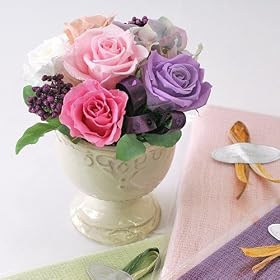 ���C���b�N�s���N�E�v���U�[�u�h�t�����[���I�[�K�j�b�N�R�b�g���X�g�[���u�G�R�}�t���[�i�O���[���j�v�̃M�t�g�Z�b�g