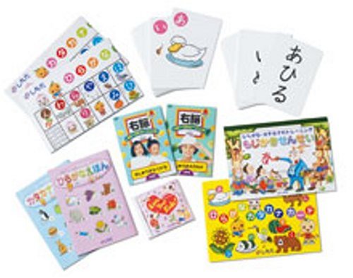  七田(しちだ)右脳DVDオリジナルBOX2 （カタカナセット）