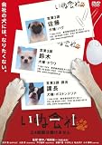 [DVD]矢作兼(おぎやはぎ) いぬ会社 24時間は働けません 編 [DVD]